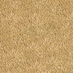 Sera_Betta_Granules_Futter