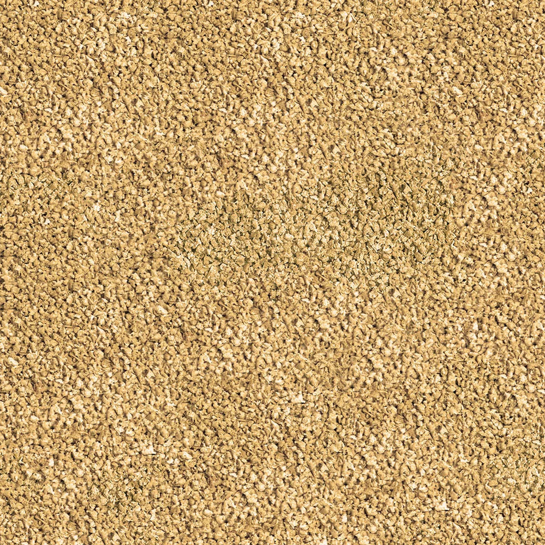 Sera_Betta_Granules_Futter