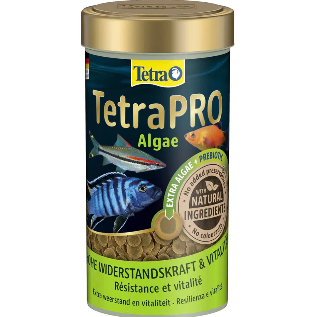 TetraPro Algae ist ein Alleinfuttermittel für Zierfische