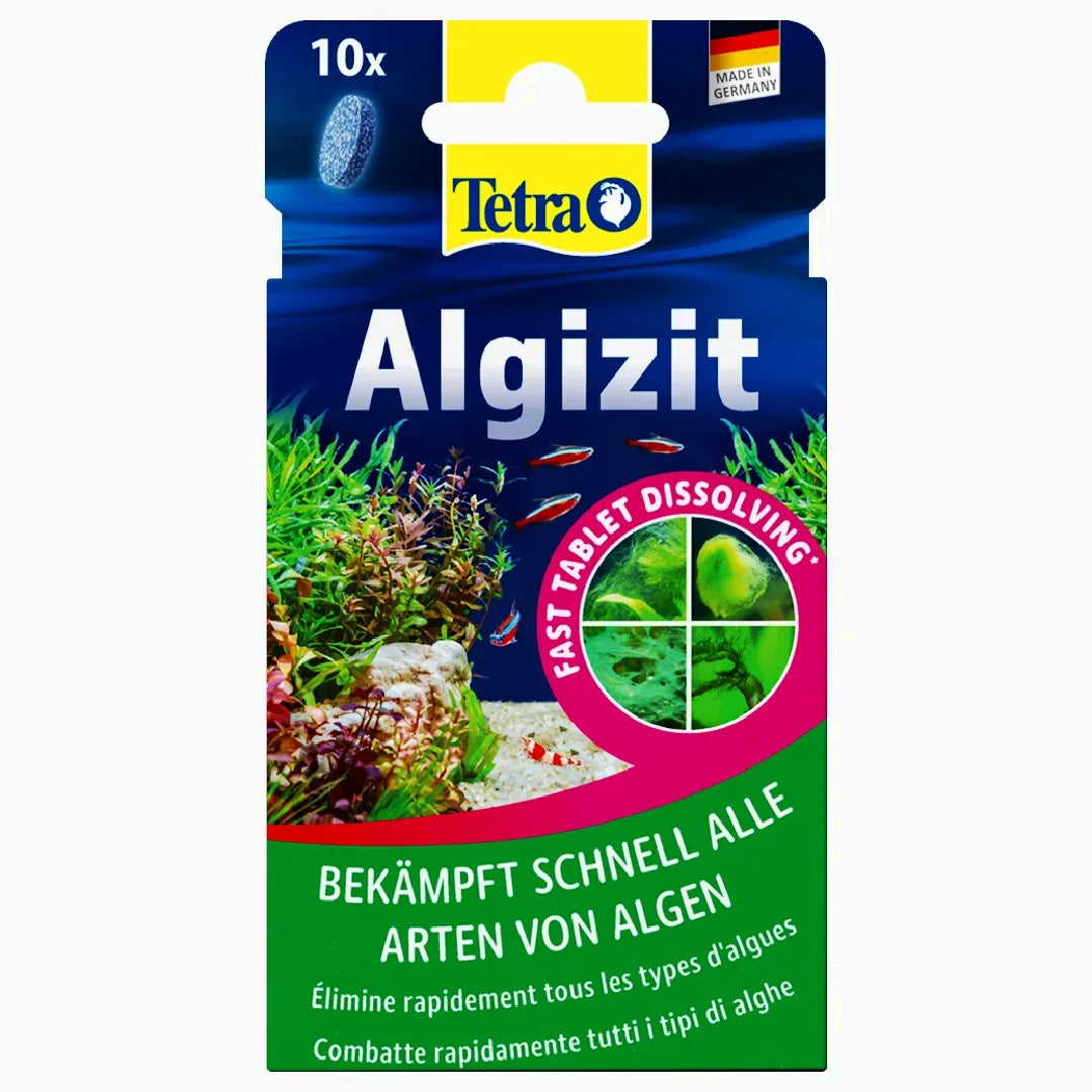 Tetra_Algizit_Front