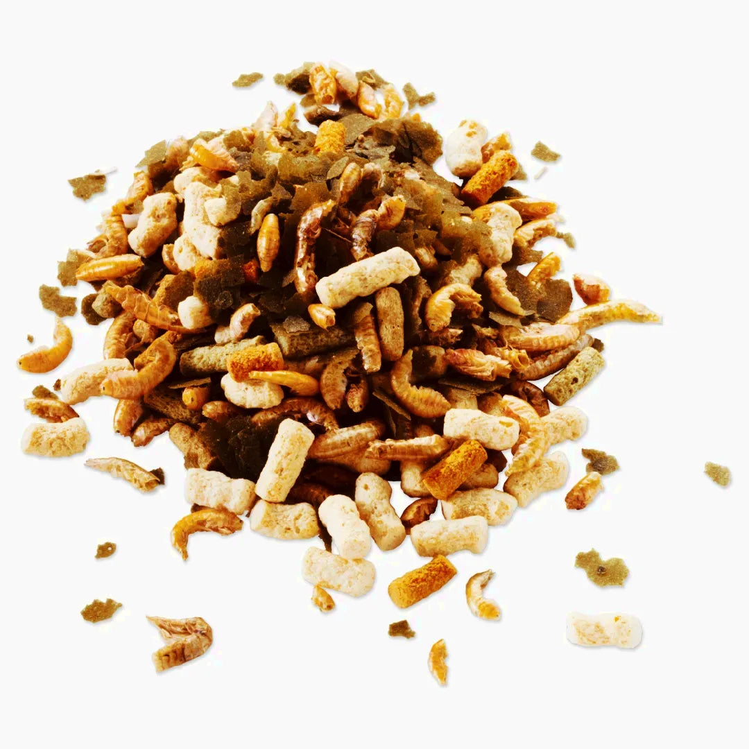 Tetra_Teich_Pond_Goldfish_Mix_Futter2