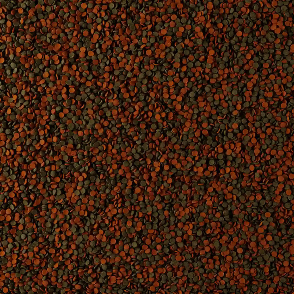 Tetra Wafer Mini Mix ist ein vielseitiges Futter für bodengründige und mittelschwimmende Aquarienbewohner wie Welse, Garnelen und andere Bodenfische.