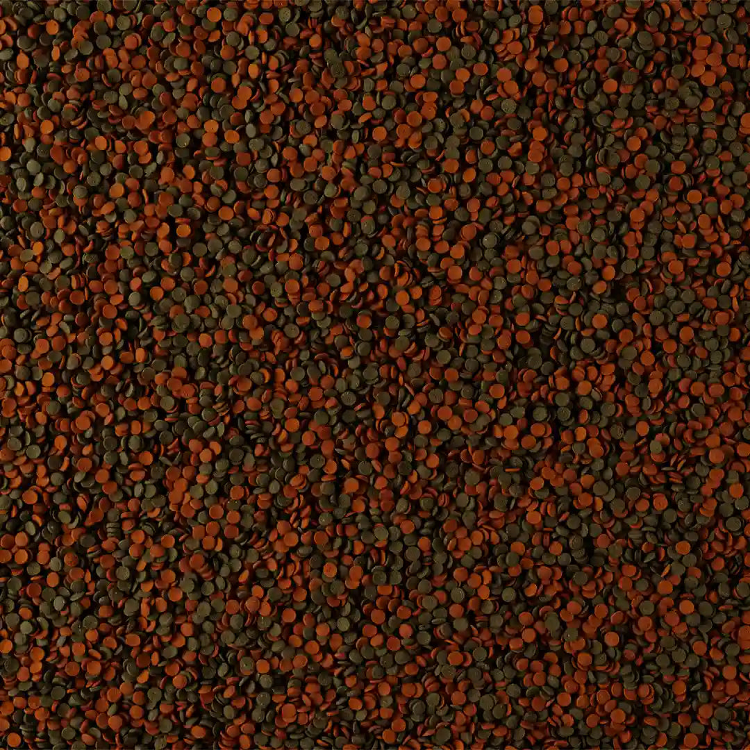 Tetra Wafer Mini Mix ist ein vielseitiges Futter für bodengründige und mittelschwimmende Aquarienbewohner wie Welse, Garnelen und andere Bodenfische.