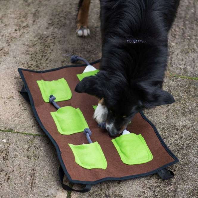PROCYON Action Schnüffelmatte