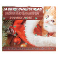 Adventskalender für Katzen