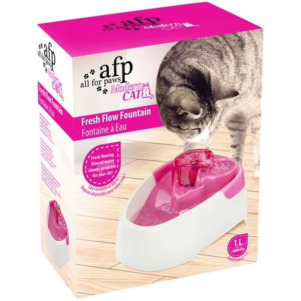 All for Paws Trinkbrunnen für Katzen