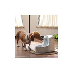 Drinkwell Mini Trinkbrunnen