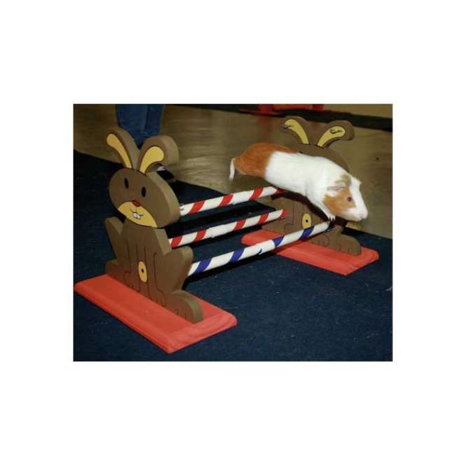 Agility Nagerhürde