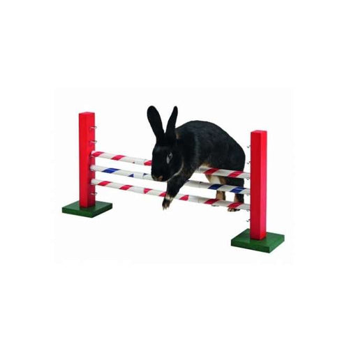 Agility Steilsprung für Nager