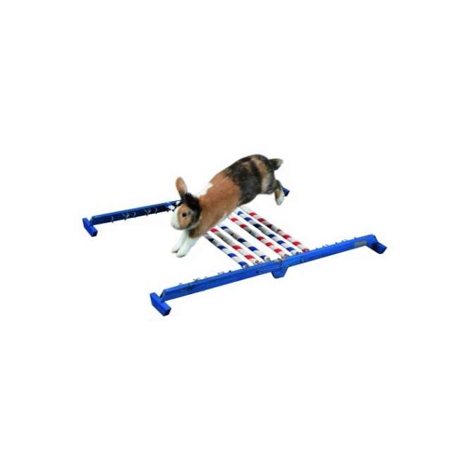 Agility Kombisprung für Nager