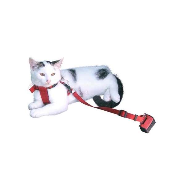 Autosicherheitsgurt für Katzen, größenverstellbar