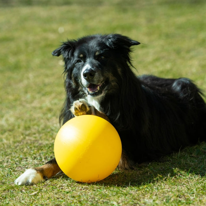 PROCYON Treibball extra stabil