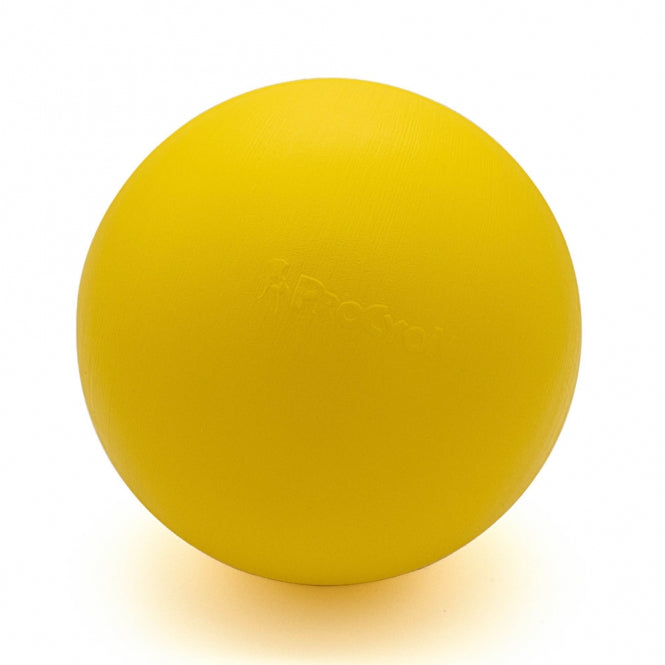PROCYON Treibball extra stabil