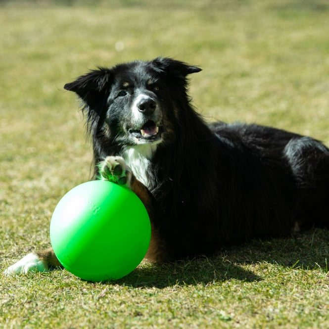 PROCYON Treibball extra stabil