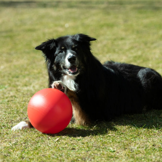 PROCYON Treibball extra stabil