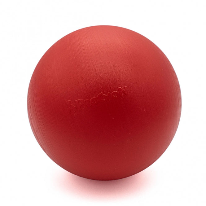 PROCYON Treibball extra stabil