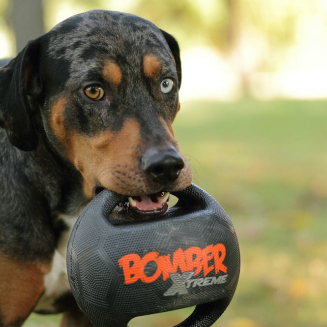 Bomber Xtreme by Zeus