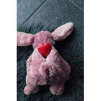 Cozy Dog Bunny mit Herzschlag und Wärmekissen