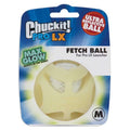 Chuckit Pro LX Fetch Ball