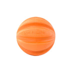 Dog Comets Ball Swift Tuttle