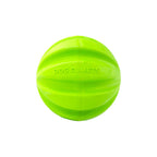 Dog Comets Ball Hale Bopp