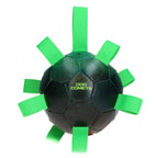 Dog Comets Ball Hypernova