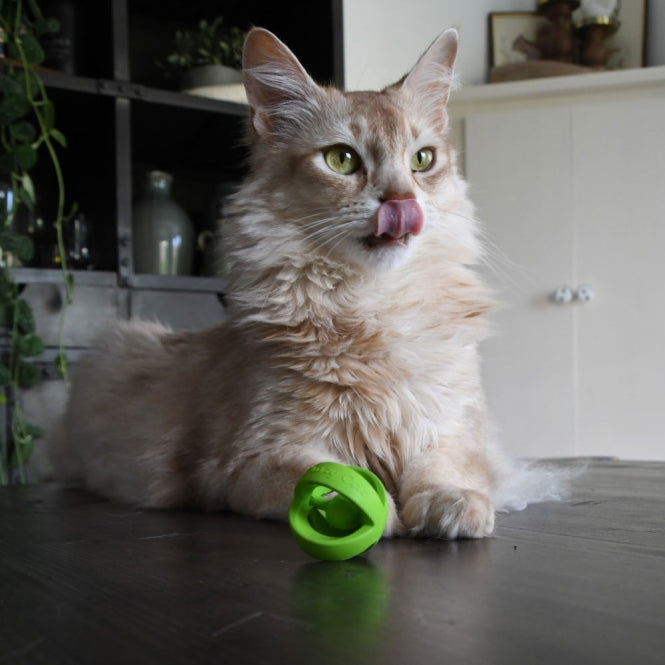 Crazy Cat Wacky Wobbler