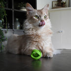 Crazy Cat Wacky Wobbler