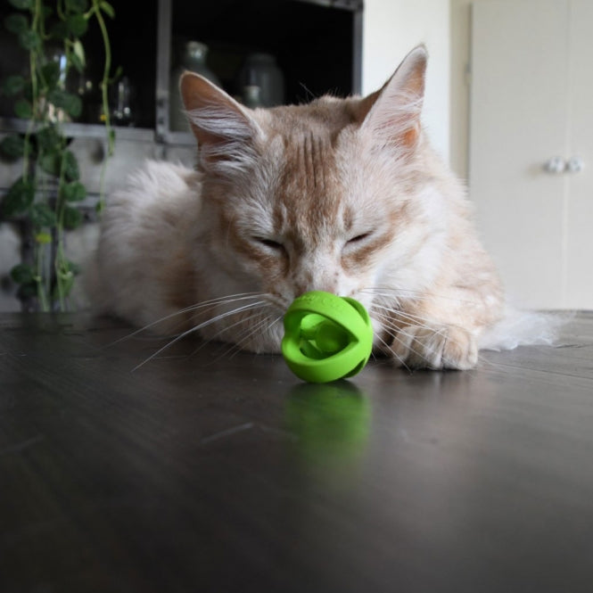 Crazy Cat Wacky Wobbler