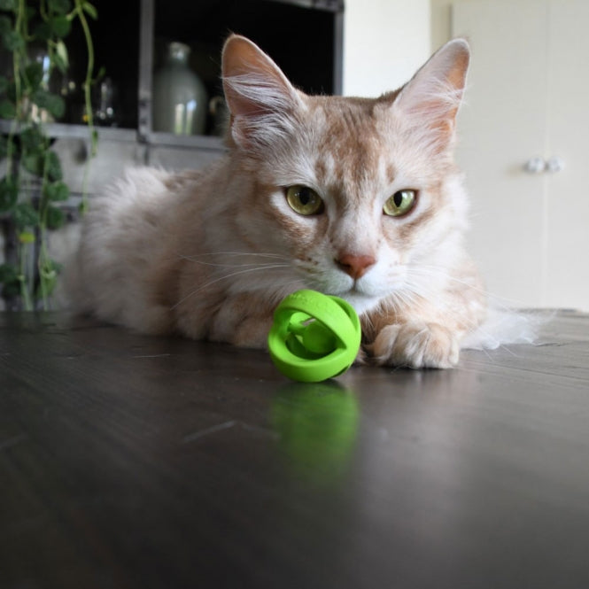 Crazy Cat Wacky Wobbler