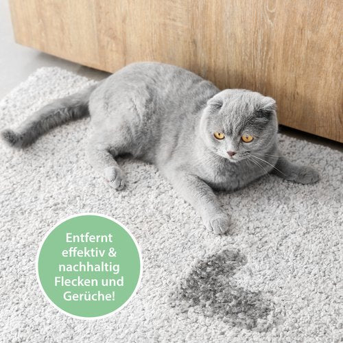 PIPI-WEG KATZE Geruchs- & Fleckenentferner