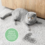 PIPI-WEG KATZE Geruchs- & Fleckenentferner