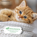 PIPI-WEG KATZE Geruchs- & Fleckenentferner