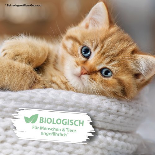 PIPI-WEG KATZE Geruchs- & Fleckenentferner
