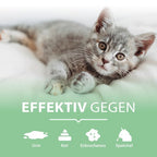 PIPI-WEG KATZE Geruchs- & Fleckenentferner