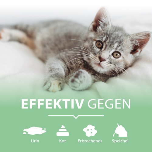 PIPI-WEG KATZE Geruchs- & Fleckenentferner