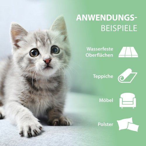 PIPI-WEG KATZE Geruchs- & Fleckenentferner