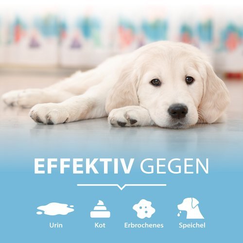 PIPI-WEG HUND Geruchs- & Fleckenentferner