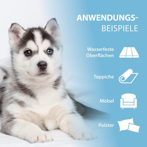 PIPI-WEG HUND Geruchs- & Fleckenentferner