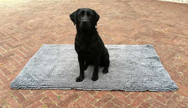 Doggy Dry Doormat Hunde Türmatte