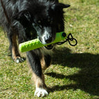 Procyon Magic Treat Dummy