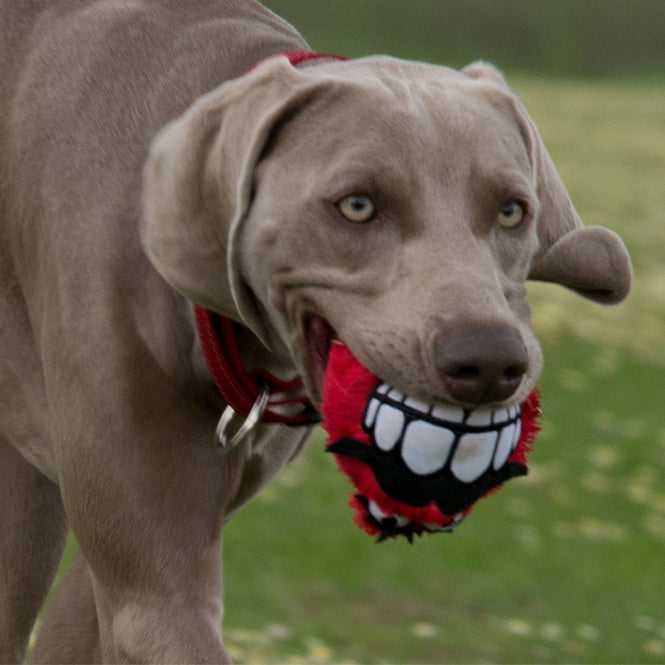 ROGZ FLUFFY GRINZ Hundeball
