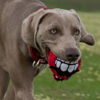 ROGZ FLUFFY GRINZ Hundeball