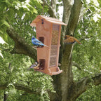 Wildvogel-Futterstelle Jok 21