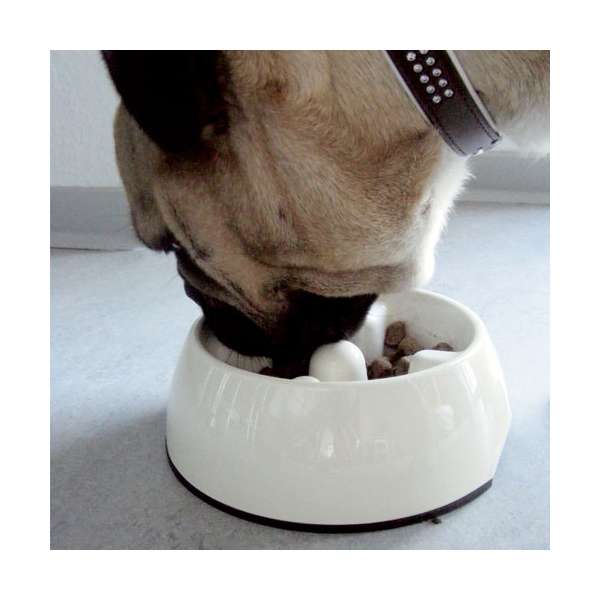 DOGIT Go Slow Anti Schling Napf