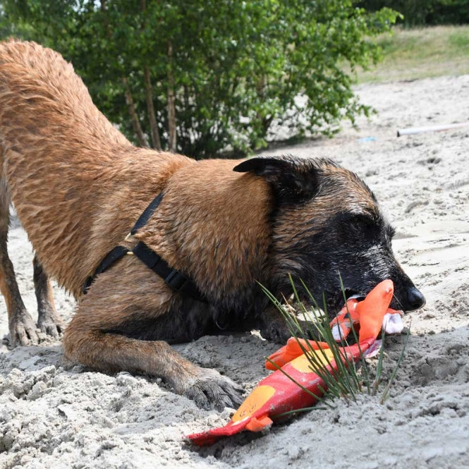 Hozies Jeffrey Jungle aus Feuerwehrschlauch