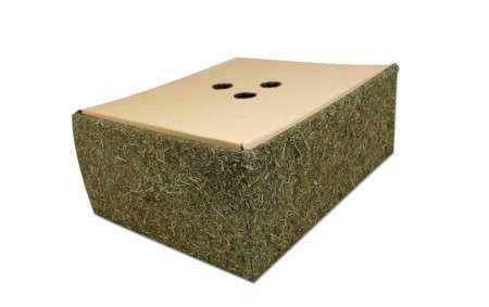 Back to Instinct – Die Futter Buddel - Box