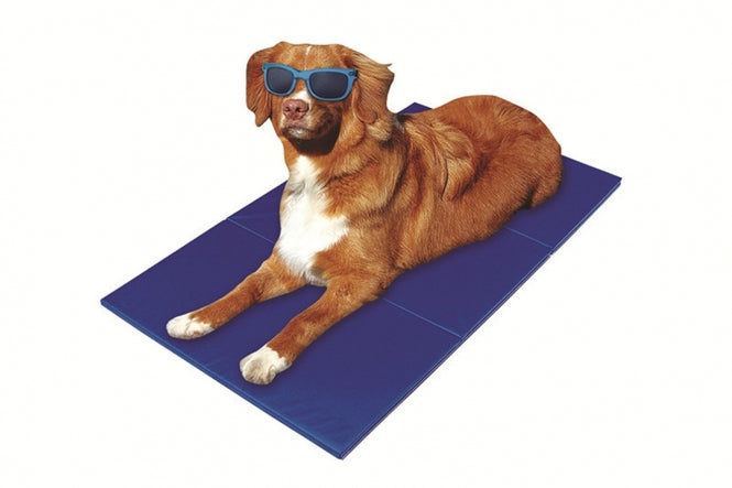 Pet Star Kühlmatte