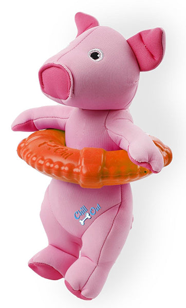 All for Paws Chill Out LifeGuard Schwimmspielzeug