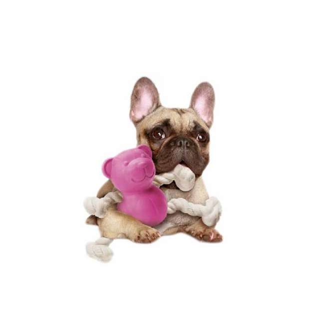 New Angle Li' Nippers – Ted D.